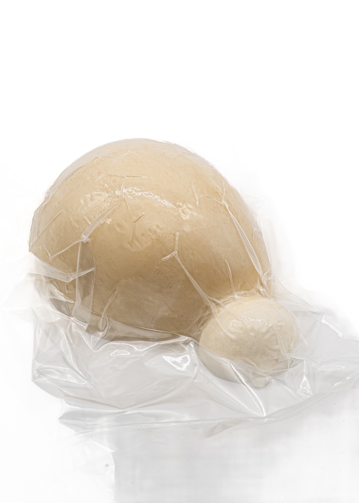 Caciocavallo 